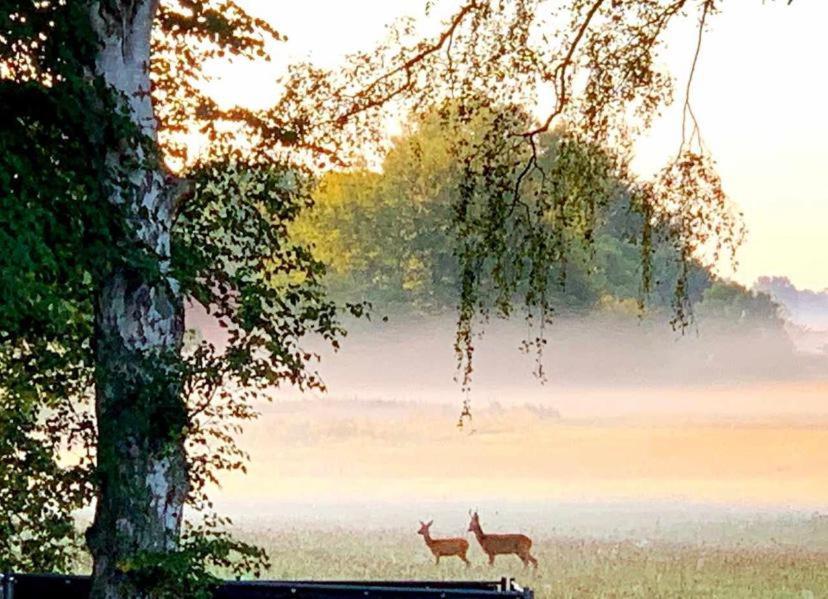 Meiks Ostseehuetten Dranske Zewnętrze zdjęcie